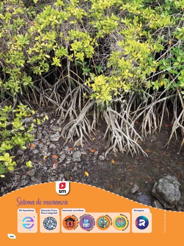 Naturalmente 4 Unidad 6