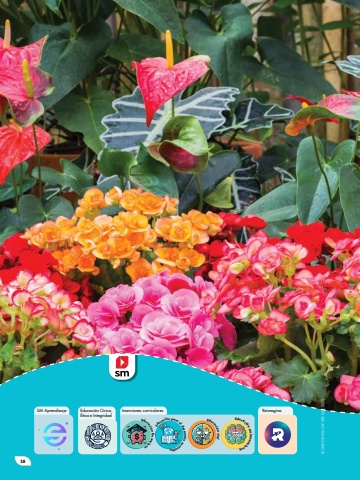 Naturalmente 2 Unidad 3