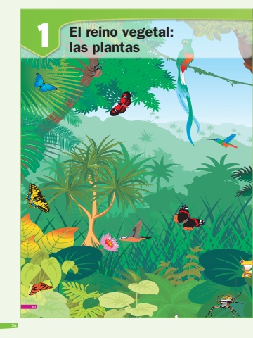 SAVIA+ Ciencias Naturales EBG 4 Libro Docente