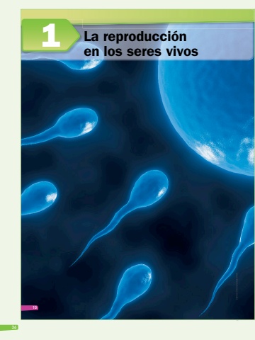 SAVIA+ Ciencias Naturales EBG 9 Libro Docente