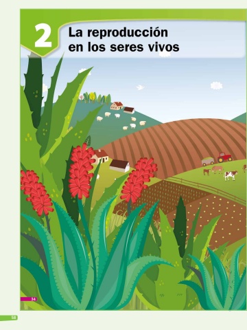 SAVIA+ Ciencias Naturales EBG 6 Unidad 2 Docente