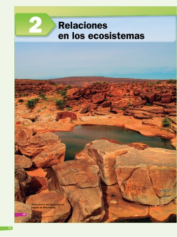 SAVIA+ Ciencias Naturales EBG 8 Unidad 2 Docente