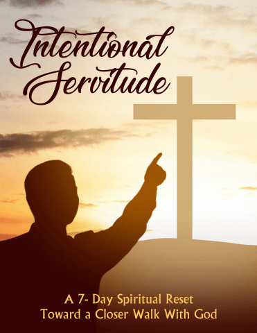 Intentional Servitude Program