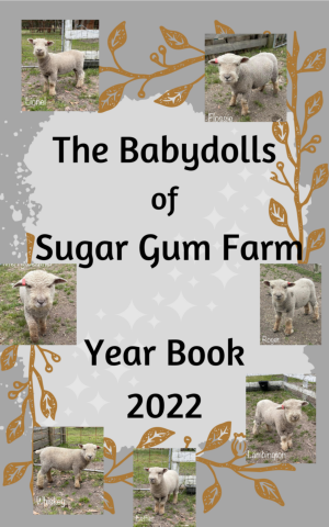 Sugar Gum Farm Babydolls 2022 Year Book