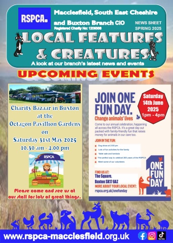 spring news sheet 3