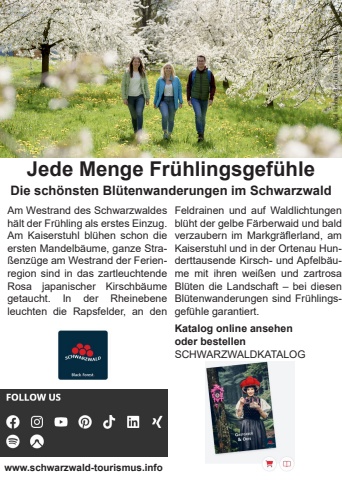 testseite online magazin