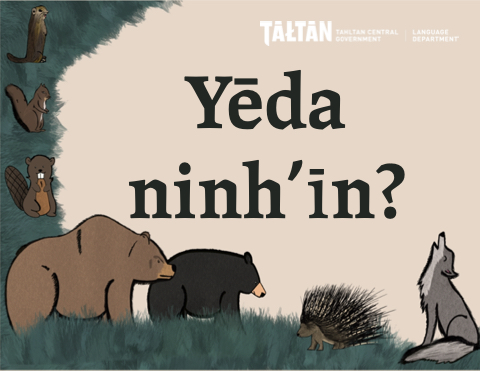 More Animals - Tahltan