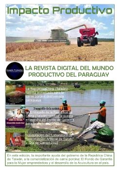 Revista google