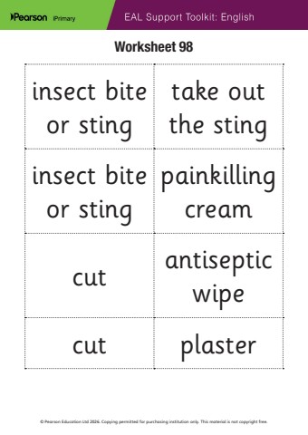 y5_eng_eal_support