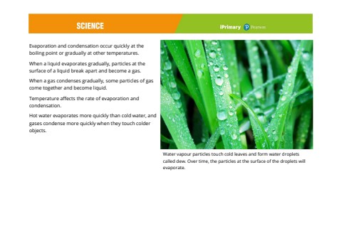 y4_sci_pcs