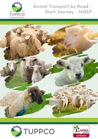 _TUPPCO Animal Transport by Road - Short Journey - Sheep2022