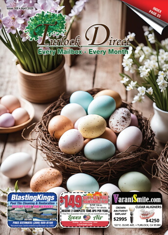 Issue 169, April 2026