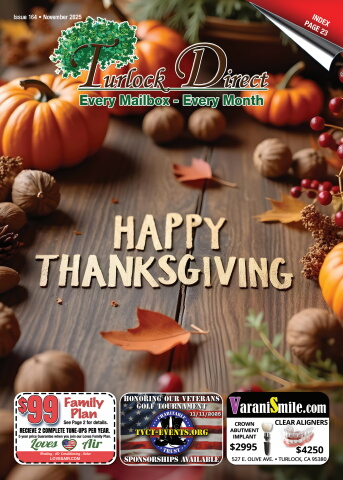 Issue 164, November 2025
