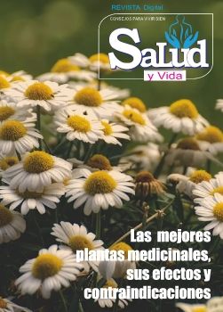 REVISTA  VIDA Y SALUD