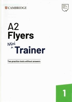 flyers_mini_trainer