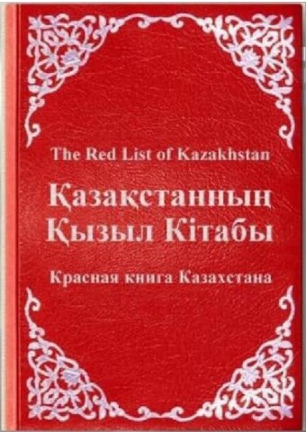 Жайын4