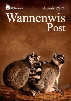 wannenwis 3