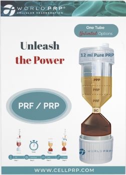 World PRP - Unleash The Power - 2025