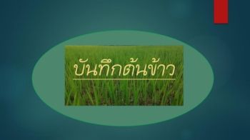 บันทึกต้นข้าว