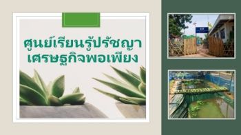 e-bookเศรษฐกิจพอเพียง