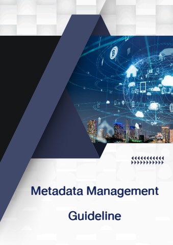 Metadata Management Guideline