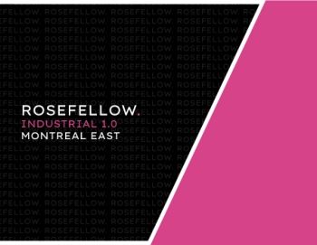 rosefellow_industrial_1_en