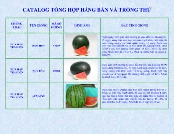 CATALOG TONG HOP HANG BAN VA TRONG THU 2018