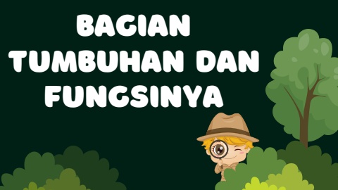 Bagian tumbuhan dan fungsinya