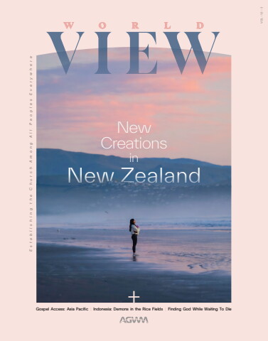 Worldview V12 N3