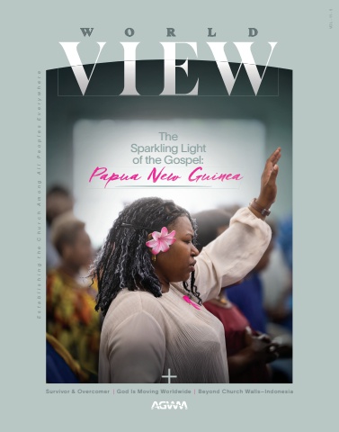 Worldview V11 N5