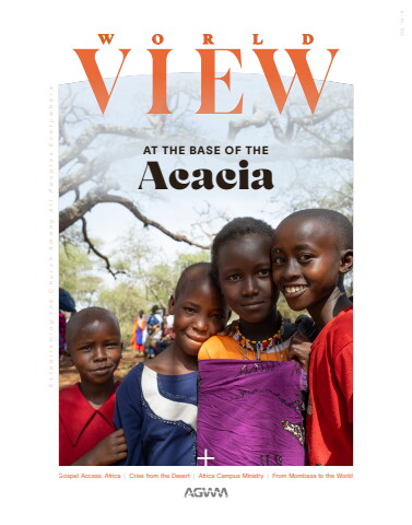 Worldview V12 N5