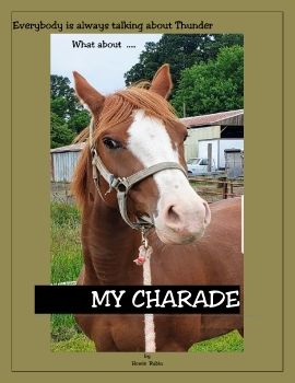 MY CHARADE  ebook_Neat