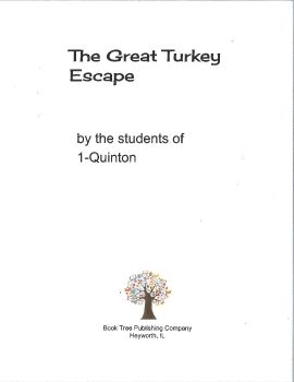 2017_1Q_turkeystory