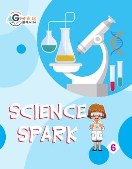 Genius Brain Science Spark-6