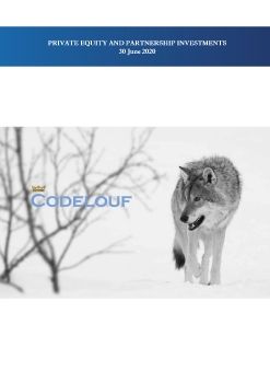 1. Codelouf PE Report 30 June 2020
