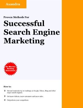 Professional Search Engine Optimization (SEO)