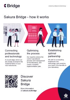 Bridge-SakuraFinetekEurope