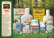 catalog Elidor