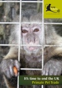 Wild Futures - End UK Primate Pet Trade Report 2014