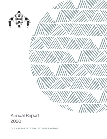 2020 Annual Report