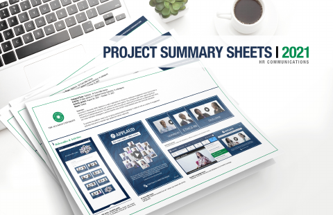 PROJECT SUMMARY SHEETS | 2021