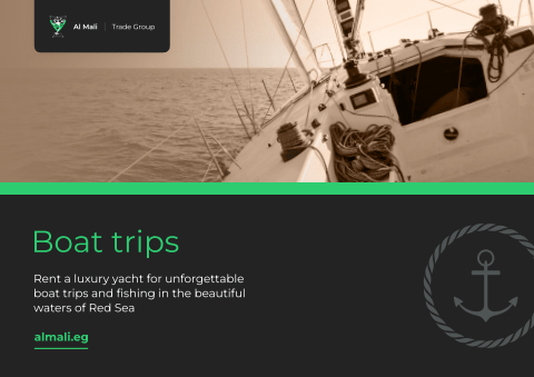 Boat trips