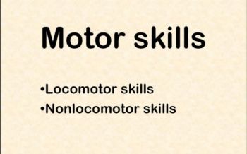 Motor Skills