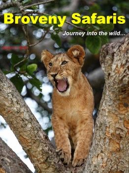 BROVENY SAFARIS