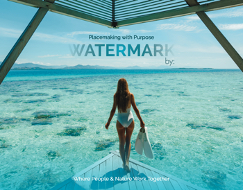 Watermark Brand Brochure