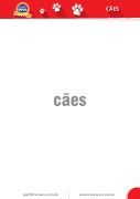 Caes.cdr