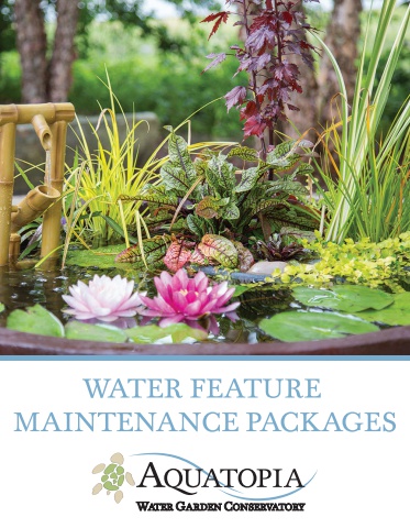 Water Feature Maintenance Packages