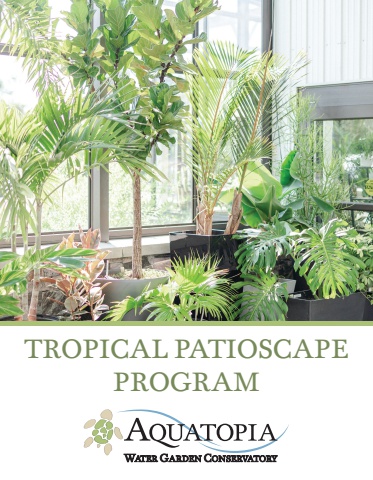 Tropical Patioscape Program Brochure