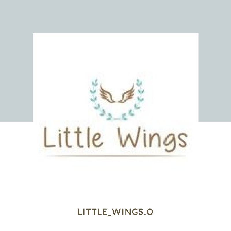 little_wings.o