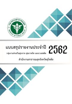 แบบสรุปรายงานประจำปี 2562